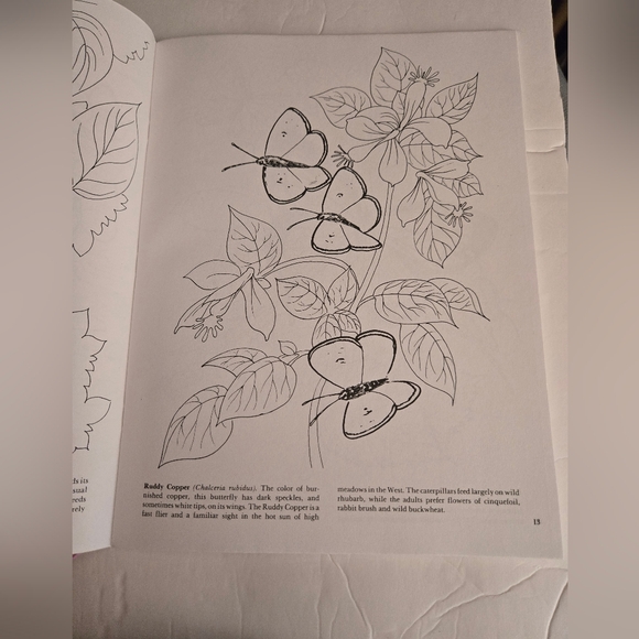 Bundle/3 Butterfly Adult Coloring Books - Picture 11 of 16